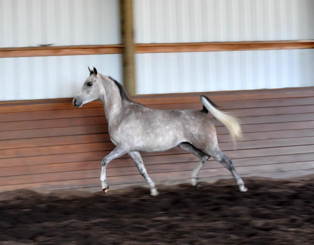 Eros Ekarat