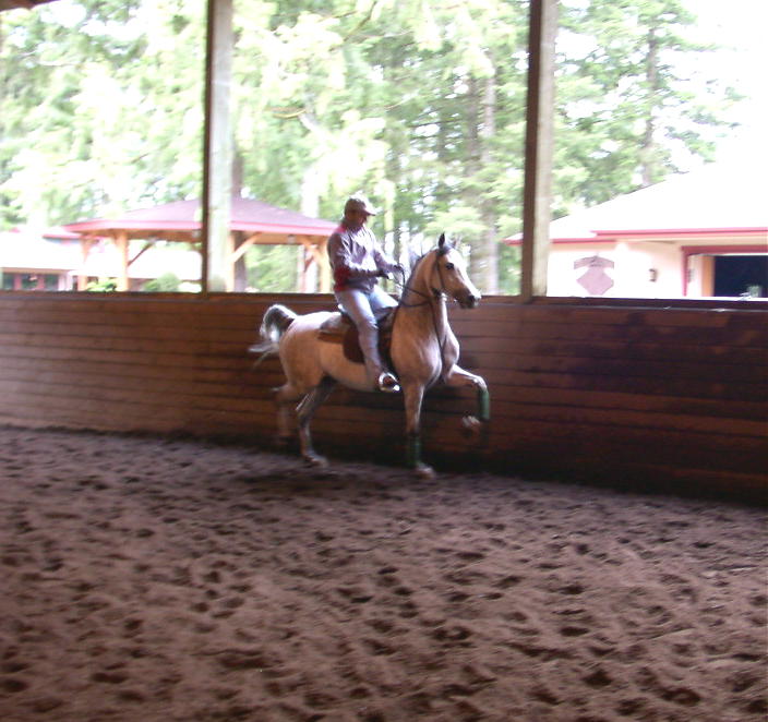 WH Polaris